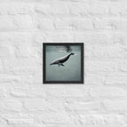 Black / 10″×10″