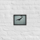 Black / 8″×10″