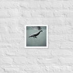 White / 10″×10″