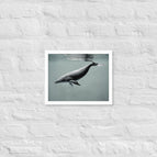White / 11″×14″