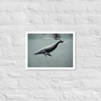 White / 12″×16″