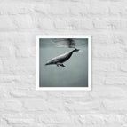 White / 14″×14″